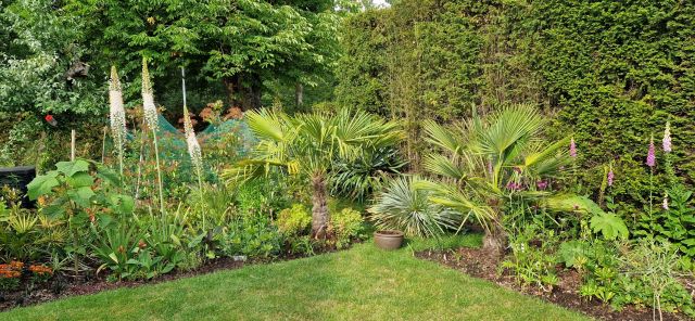 Tuin 3 Van Oldenbarneveltlaan